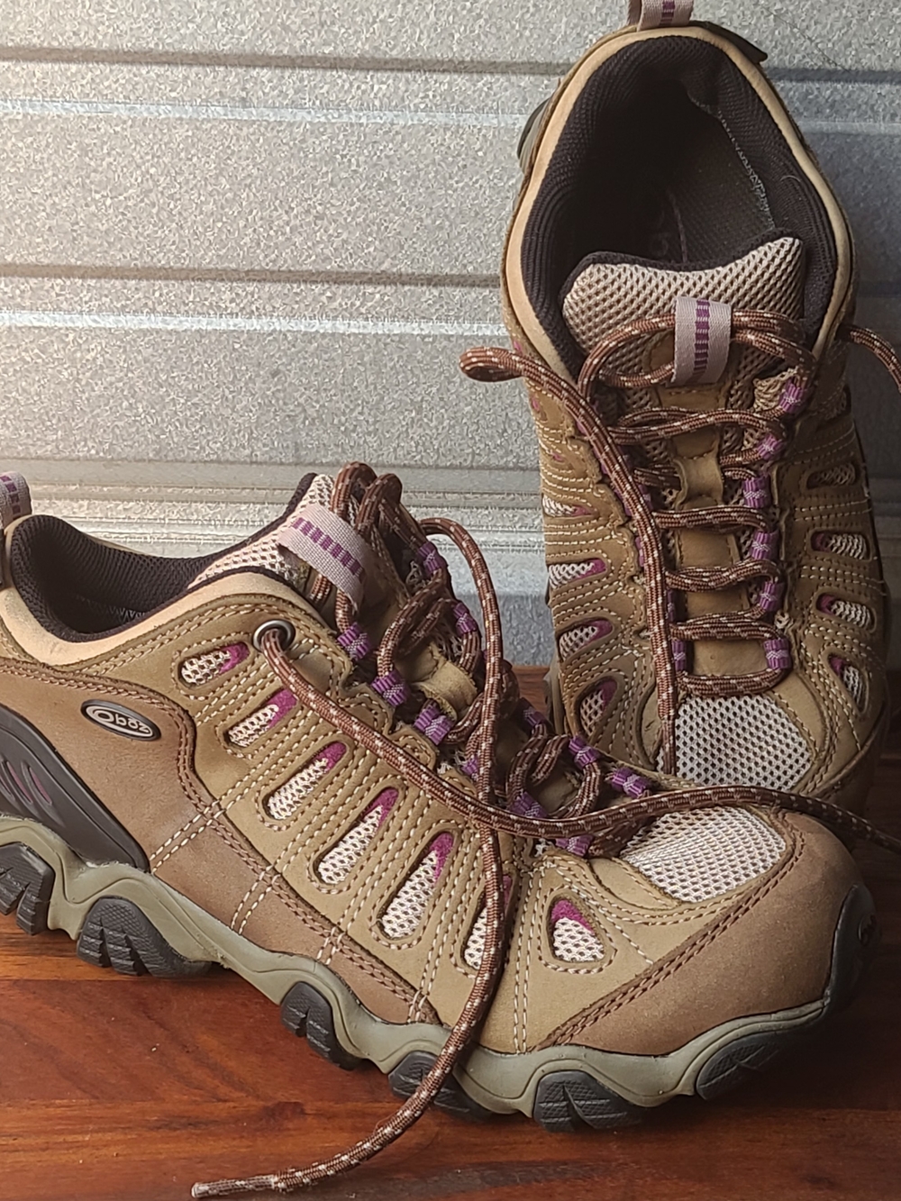 Oboz Women's 8.5 Hiking Boots with Purple Accents